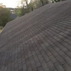 Shingles