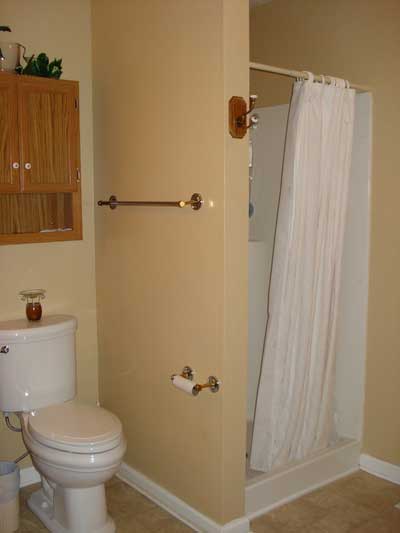 Bathroom Shower Curtain and Toilet